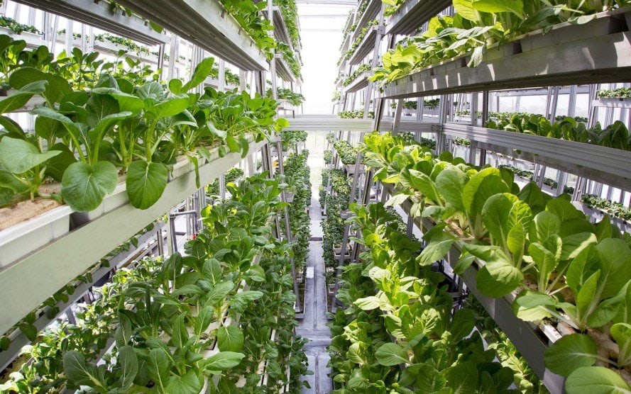 Vertical farming